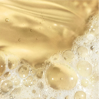 Oil To Foam Total Cleanser