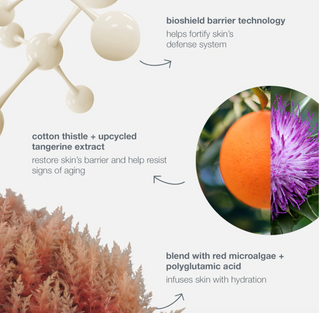 Dynamic Skin Strengthening Serum